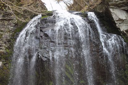 c0156548_012481.jpg