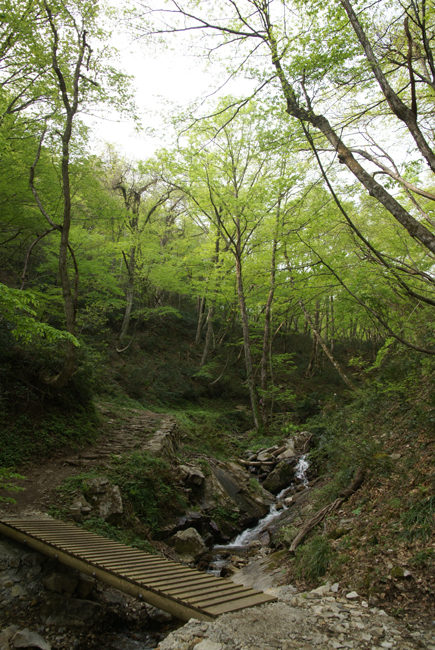 f0214649_21531283.jpg