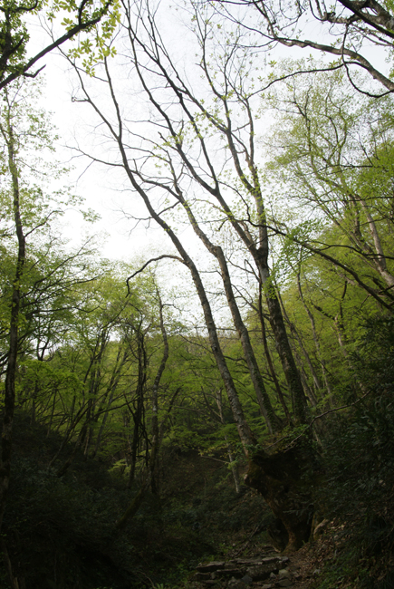 f0214649_220310.jpg