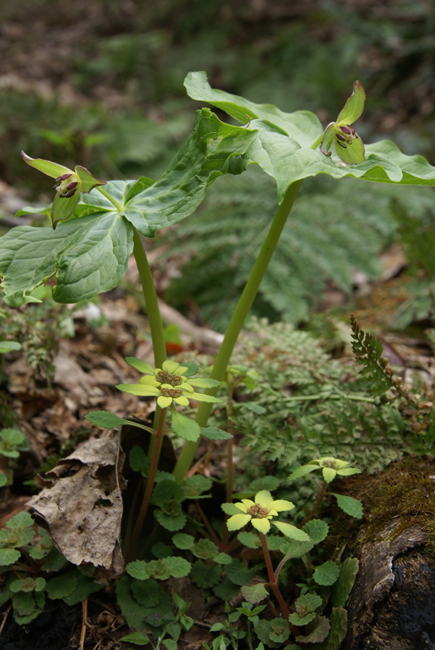 f0214649_2252755.jpg
