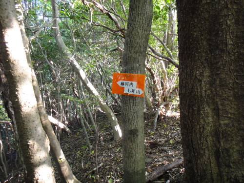 c0179351_20232677.jpg