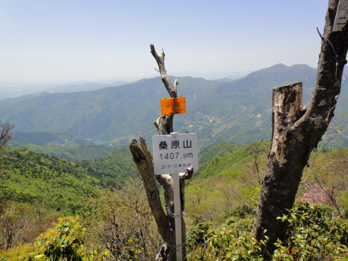 c0179351_20391474.jpg