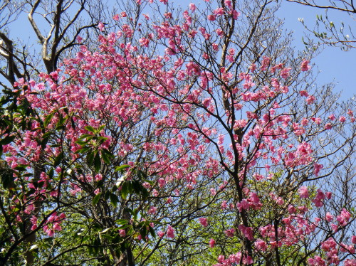 c0179351_20411186.jpg