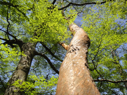 c0179351_20515546.jpg