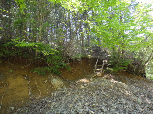c0179351_20525272.jpg
