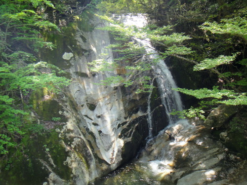 c0179351_20541520.jpg