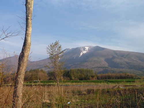 b0045357_91617.jpg