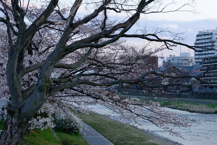 f0222161_21135373.jpg