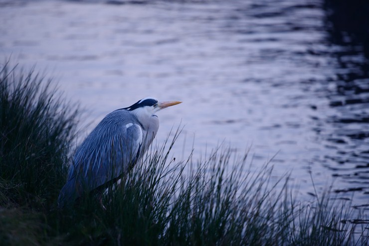 f0222161_21162420.jpg