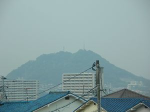 f0131263_8492079.jpg