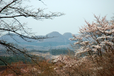 c0050264_10295790.jpg