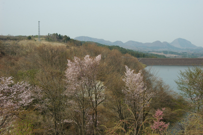 c0050264_10303961.jpg