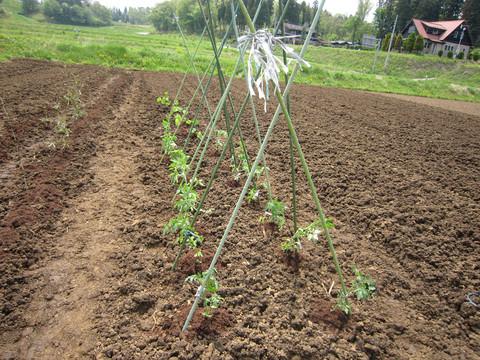 c0073564_17274025.jpg
