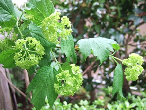 e0225164_6583392.jpg
