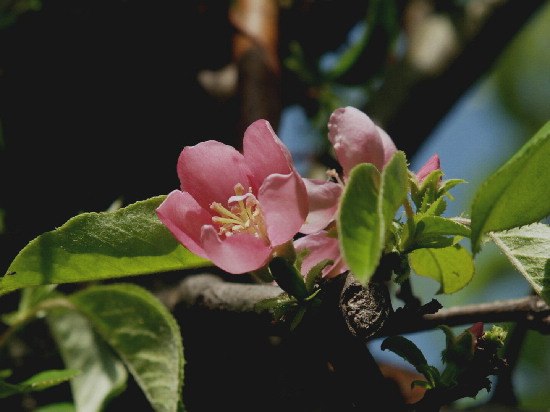 f0208666_1720121.jpg