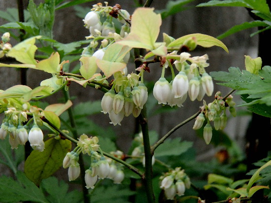 f0208666_17314756.jpg