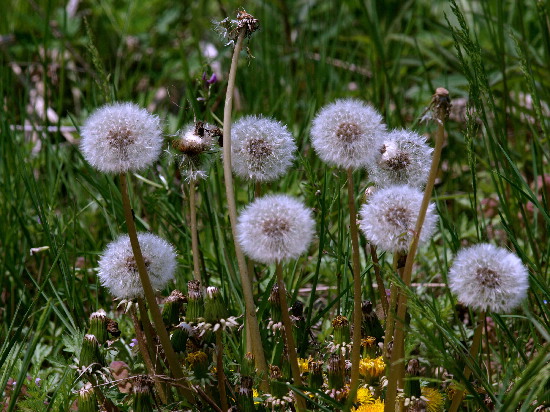 f0208666_17415389.jpg