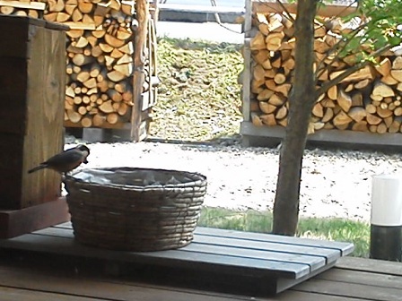 a0232573_1424043.jpg