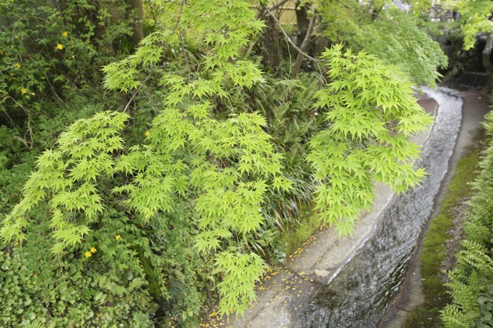 b0102780_6544364.jpg