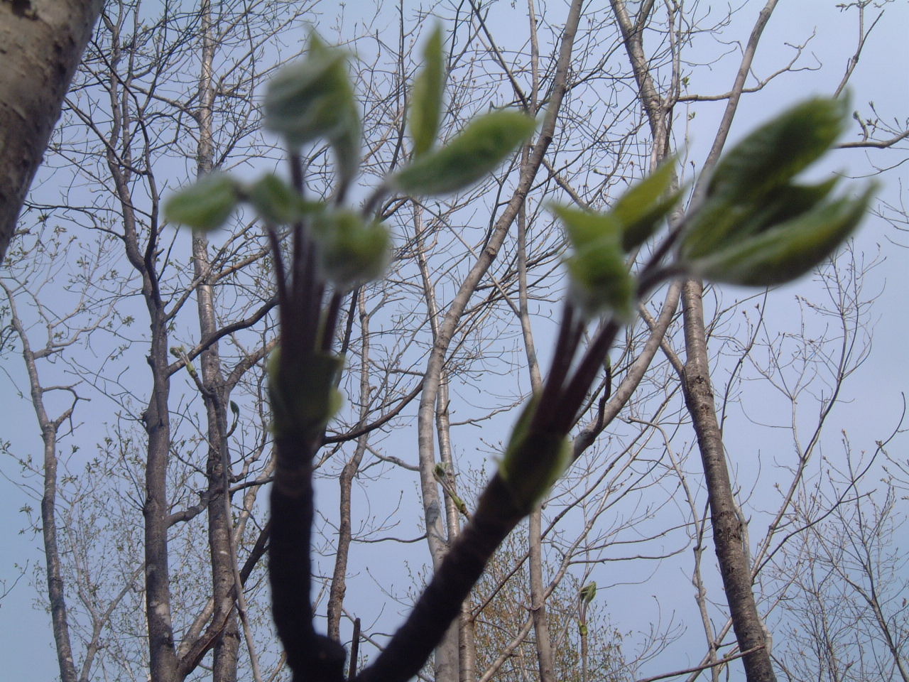 c0237780_9332491.jpg