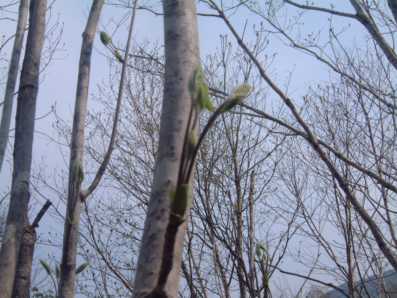c0237780_9333914.jpg