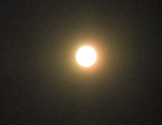 e0069481_10435737.jpg