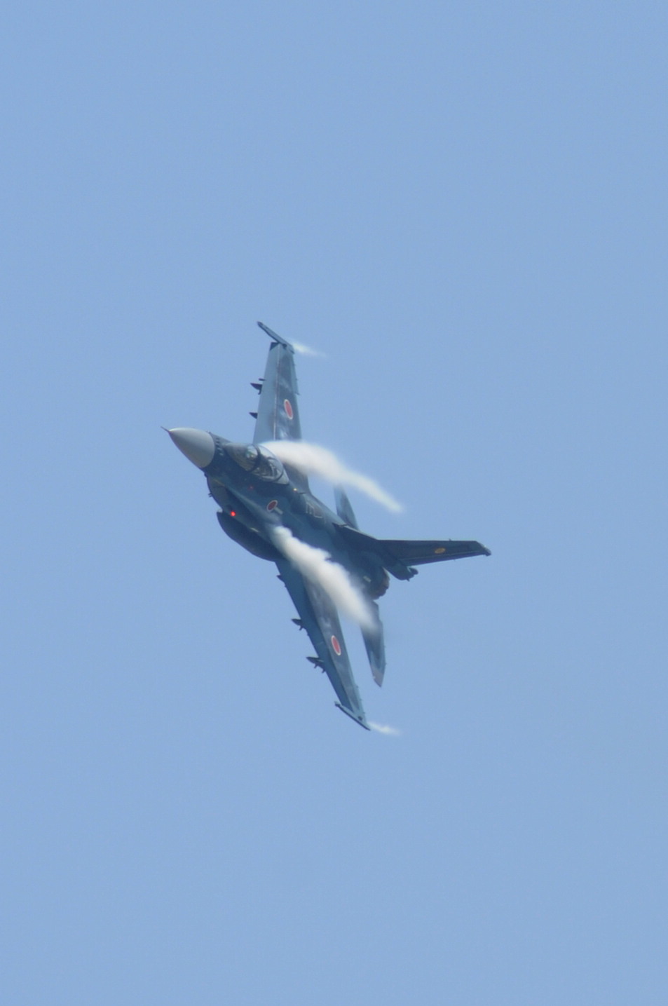 f0097981_2049516.jpg