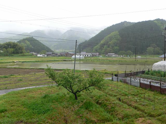 b0042882_10218100.jpg
