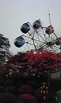 c0096582_1382161.jpg