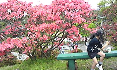 c0096582_13938.jpg