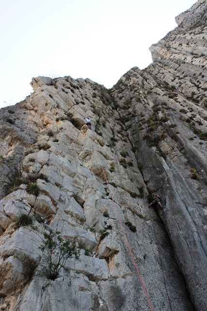 e0172085_1240623.jpg