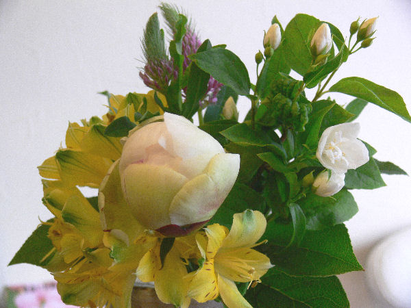 e0140986_18111172.jpg