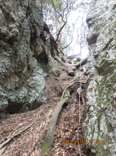 b0050787_381516.jpg