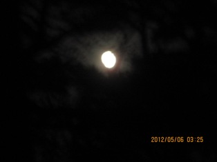 b0050787_392410.jpg