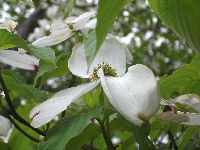 f0235289_15232352.jpg