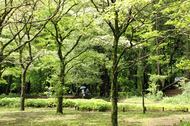a0127090_21383953.jpg