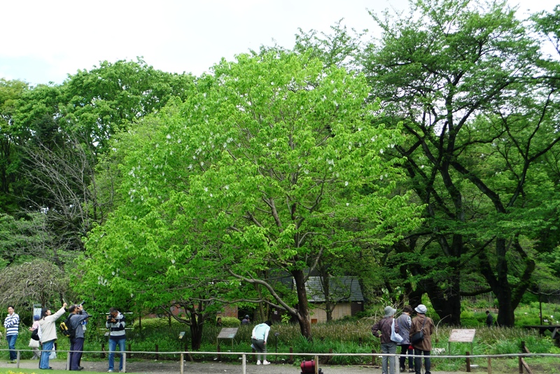 a0127090_214321.jpg