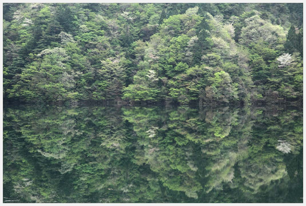 e0207391_1951686.jpg