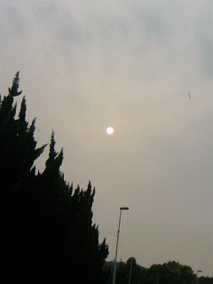 c0189894_14574618.jpg