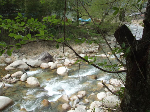 f0019498_19494328.jpg