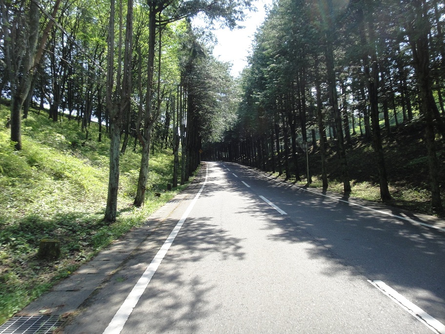 b0092300_23503644.jpg