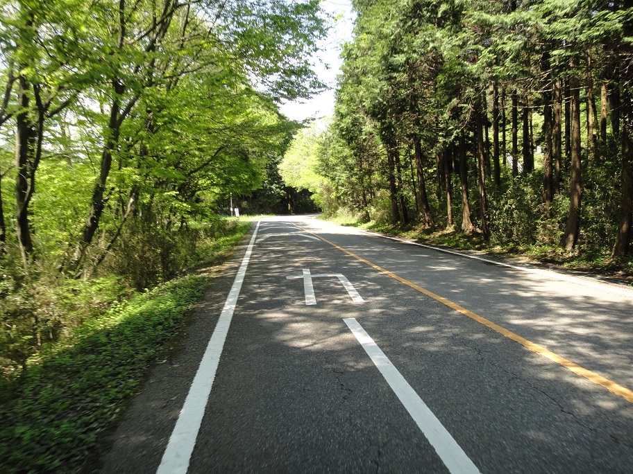 b0092300_2350522.jpg