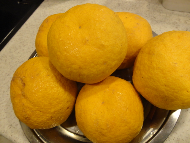 c0137300_16512066.jpg