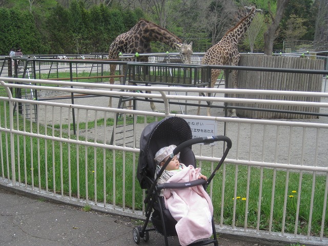 f0202703_22281824.jpg