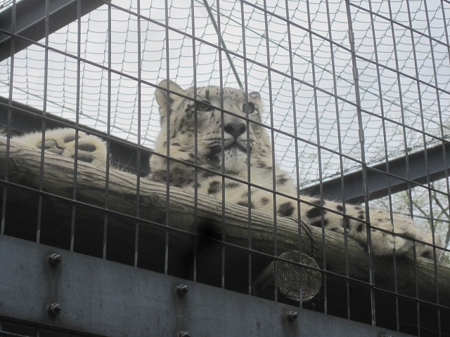 f0202703_22283964.jpg