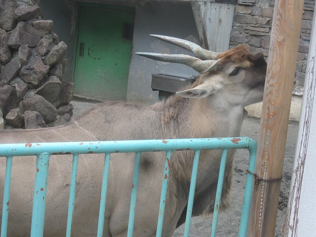 f0202703_2229781.jpg