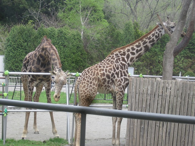 f0202703_22302251.jpg