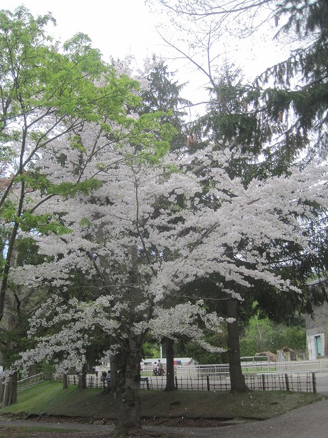 f0202703_22315413.jpg
