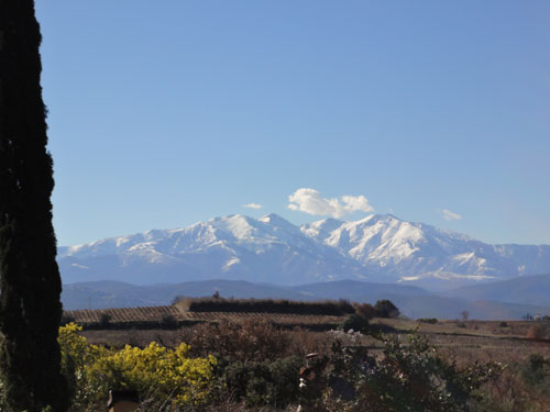a0123904_1345470.jpg