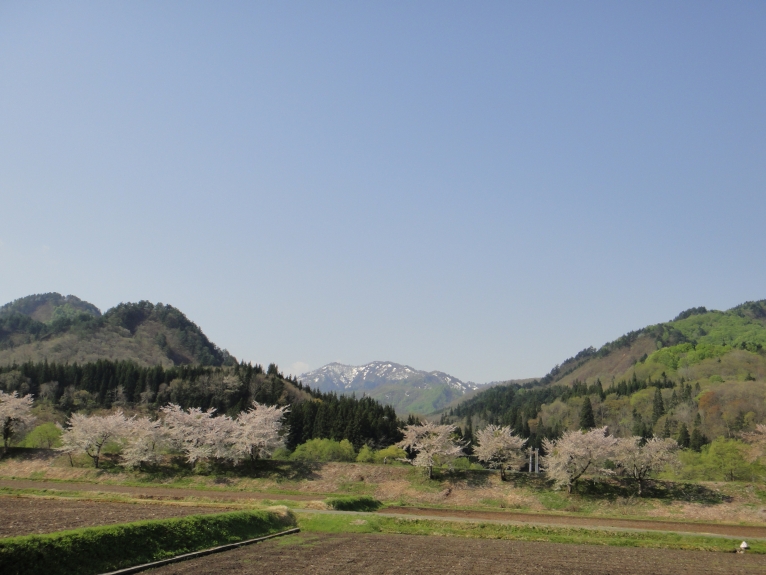 b0172805_238787.jpg